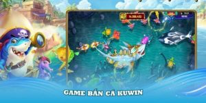Cq9 bắn cá Kuwin