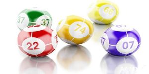 Xổ số Bingo Kuwin